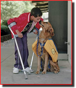 http://advocacy.britannica.com/blog/advocacy/wp-content/uploads/service-dog.jpg